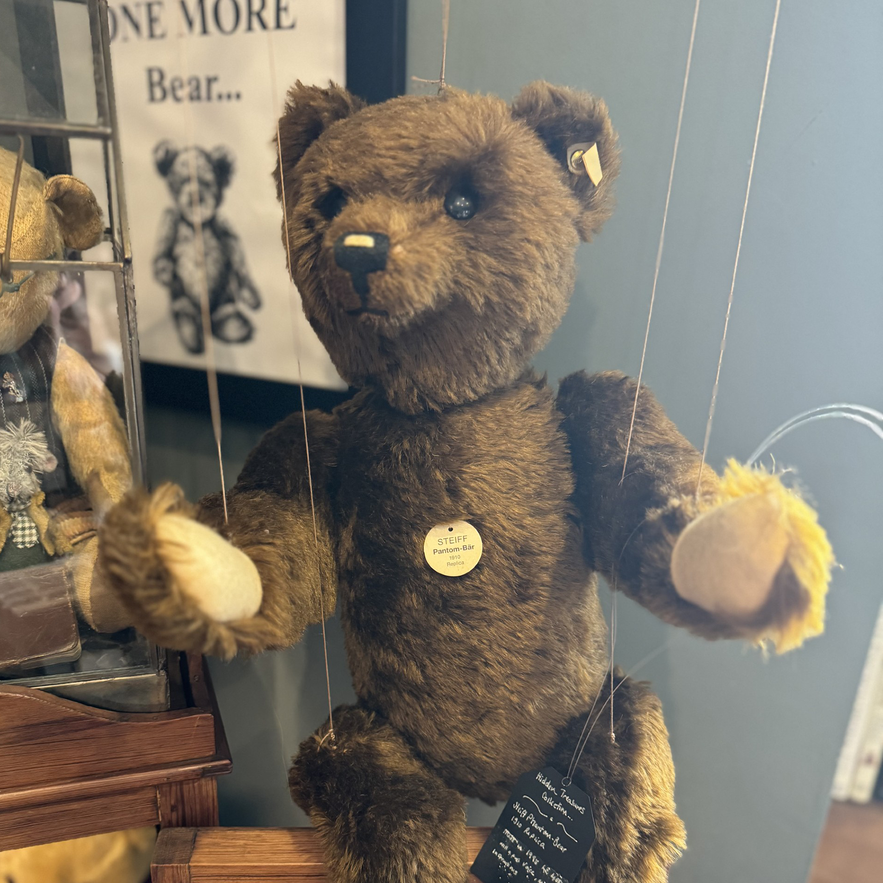 Steiff Phantom-Bear 1910 Replica | Asquiths – Asquiths Bearpawium