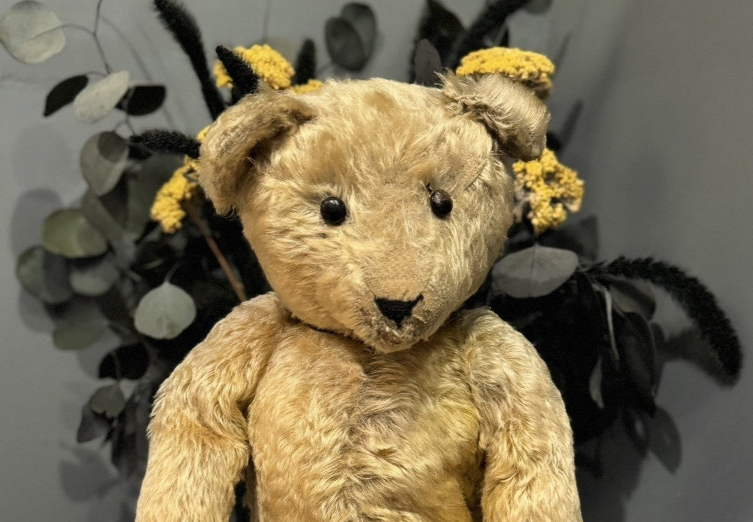 Meet Boots: The 115-Year-Old Teddy Bear Who Walked Through History