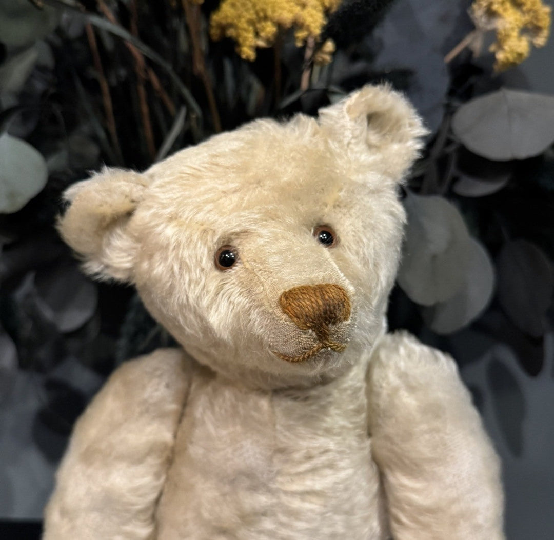 Antique Teddy Bears Arrive at Asquiths | Steiff & Vintage Bears