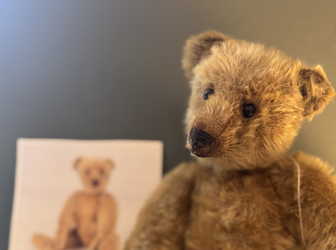 Meet Hobson: An Early Steiff Teddy Bear with a Remarkable Story