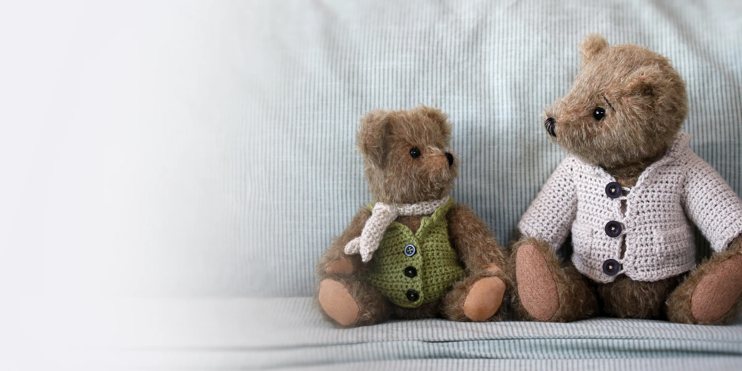 Canterbury Bears