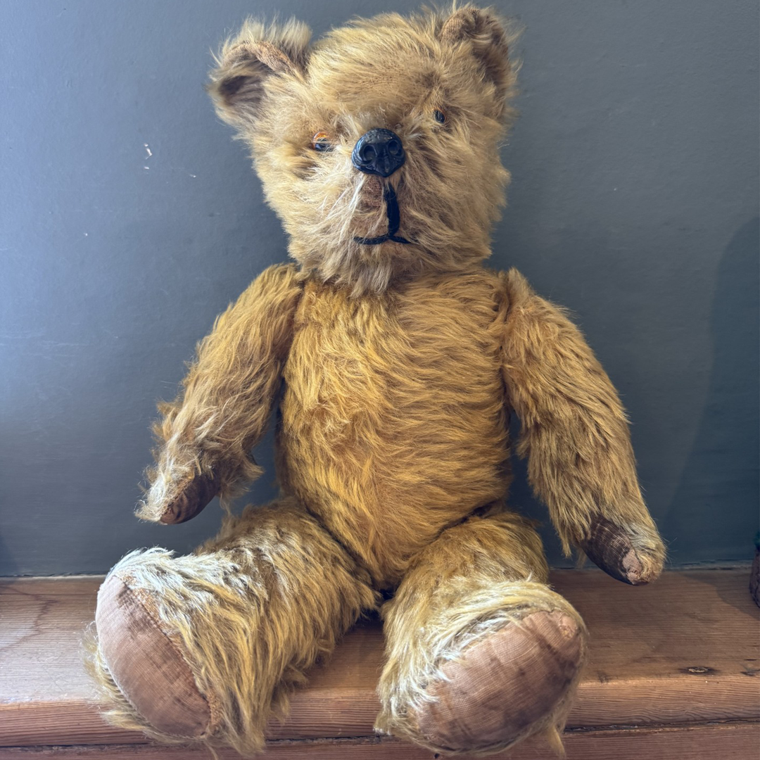 Post war Pedigree Teddy Bear