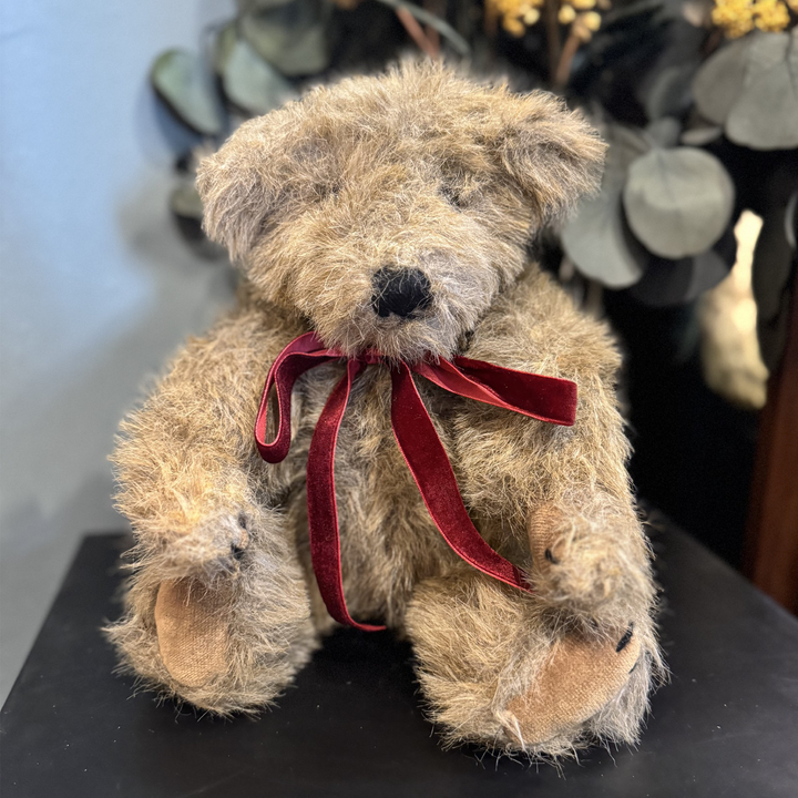 Asquiths Vintage Teddy Bear - Douglas