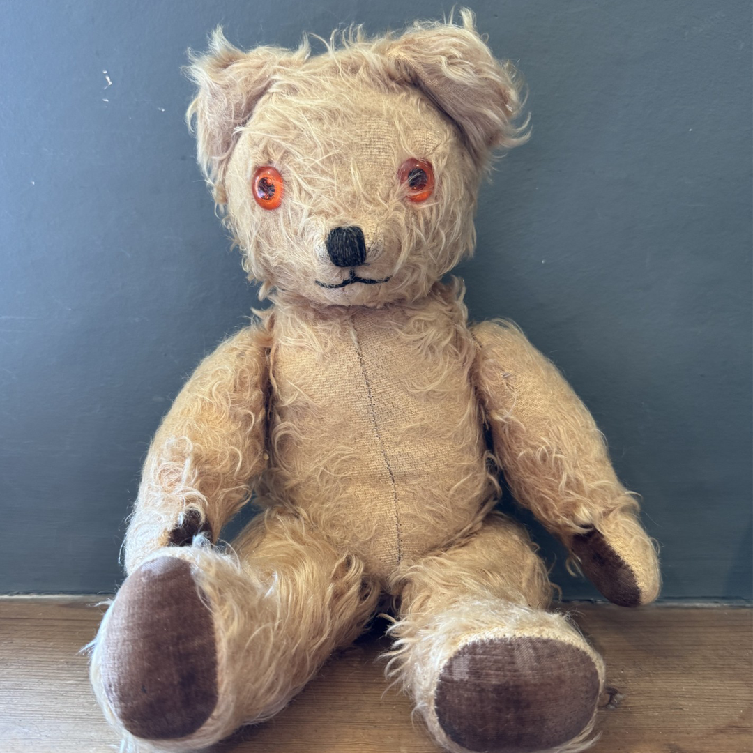 Post war Pedigree Teddy Bear with bells in ears