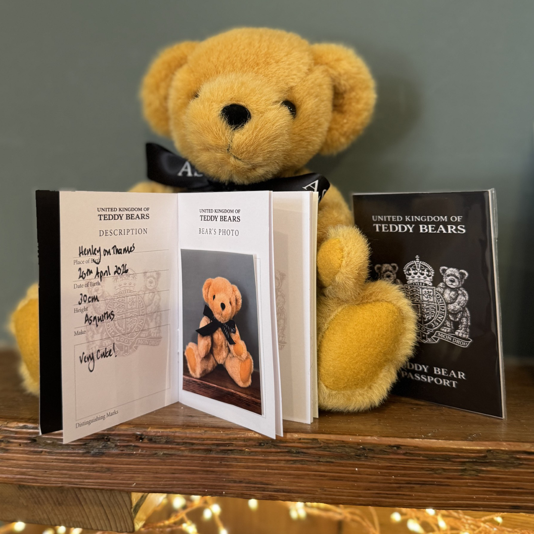 Asquiths Teddy Bear Passport & Photo