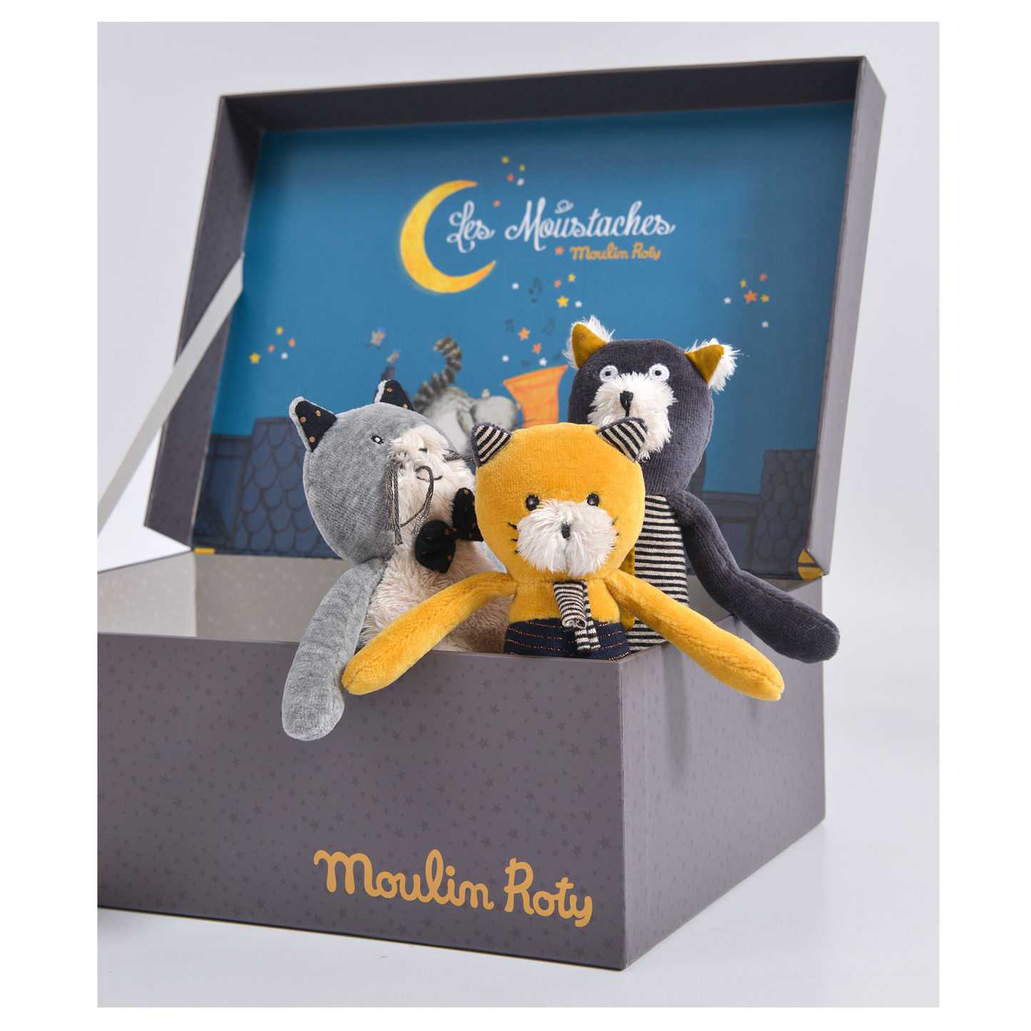 Meet Petitie Alphonse! Part of the Moustaches family, perfect for a snuggle. These small cute cats are safe for newborns.